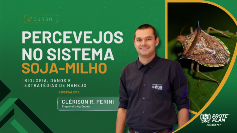 Cabeçalho (3)