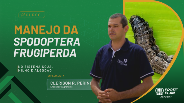Cabeçalho (4)